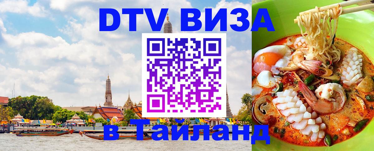 Сколько стоит DTV виза — актуальные цены, оформление даже без документов - Прага  07.01.2026 
